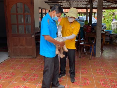 โครงการสัตว์ปลอดโรค คนปลอดภัย จากโรคพิษสุนัขบ้า ประจำปีงบประมาณ 2565 ระหว่างวันที่ 17 - 31 สิงหาคม 2565 จำนวน 16 หมู่บ้าน