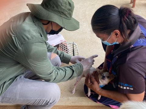 โครงการสัตว์ปลอดโรค คนปลอดภัย จากโรคพิษสุนัขบ้า ประจำปีงบประมาณ 2565 ระหว่างวันที่ 17 - 31 สิงหาคม 2565 จำนวน 16 หมู่บ้าน