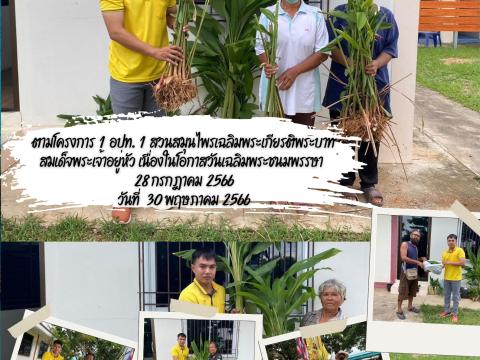 การเก็บรวบรวมสมุนไพรเพื่อเป็นแหล่งเรียนรู้และขยายพันธุ์ ตามโครงการ 1 อปท. 1 สวนสมุนไพร เฉลิมพระเกียรติพระบาทสมเด็จพระเจ้าอยู่หัว เนื่องในโอกาสวันเฉลิมพระชนมพรรษา 28 กรกฎาคม 2566 วันที่ 30 พฤษภาคม 2566