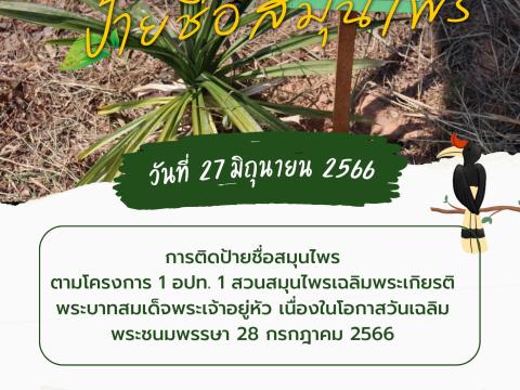 การติดป้ายชื่อสมุนไพร ตามโครงการ 1 อปท. 1 สวนสมุนไพร เฉลิมพระเกียรติพระบาทสมเด็จพระเจ้าอยู่หัว เนื่องในโอกาสวันเฉลิมพระชนมพรรษา 28 กรกฎาคม 2566 วันที่ 27 มิถุนายน 2566