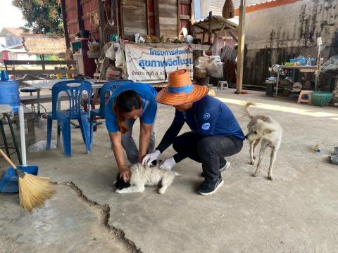 ลงพื้นที่ฉีดวัคซีนป้องกันโรคพิษสุนัขบ้า ตามโครงการสัตว์ปลอดโรค คนปลอดภัย จากโรคพิษสุนัขบ้า