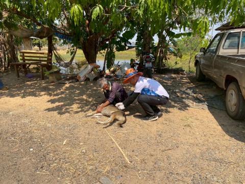 ลงพื้นที่ฉีดวัคซีนป้องกันโรคพิษสุนัขบ้า ตามโครงการสัตว์ปลอดโรค คนปลอดภัย จากโรคพิษสุนัขบ้า