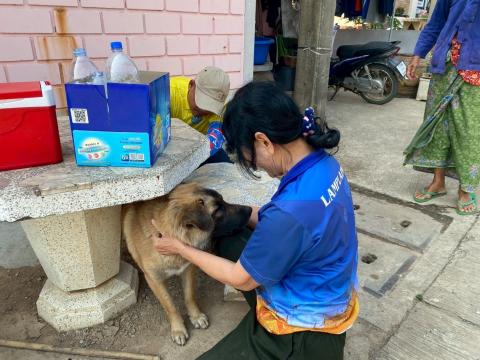 ลงพื้นที่ฉีดวัคซีนป้องกันโรคพิษสุนัขบ้า ตามโครงการสัตว์ปลอดโรค คนปลอดภัย จากโรคพิษสุนัขบ้า