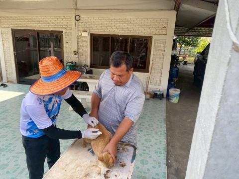 ลงพื้นที่ฉีดวัคซีนป้องกันโรคพิษสุนัขบ้า ตามโครงการสัตว์ปลอดโรค คนปลอดภัย จากโรคพิษสุนัขบ้า
