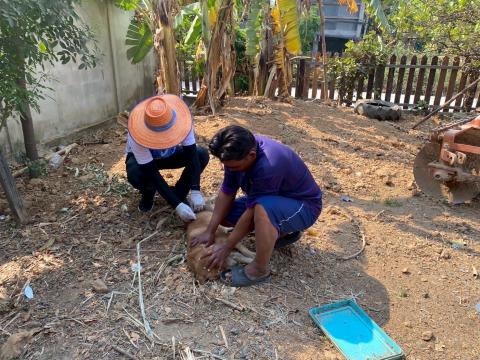 ลงพื้นที่ฉีดวัคซีนป้องกันโรคพิษสุนัขบ้า ตามโครงการสัตว์ปลอดโรค คนปลอดภัย จากโรคพิษสุนัขบ้า