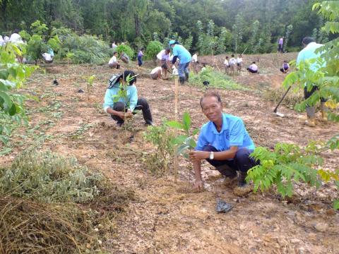 โครงการปลูกป่าเฉลิมพระเกียรติสมเด็จพระนางเจ้าสิริกิติ์ พระบรมราช