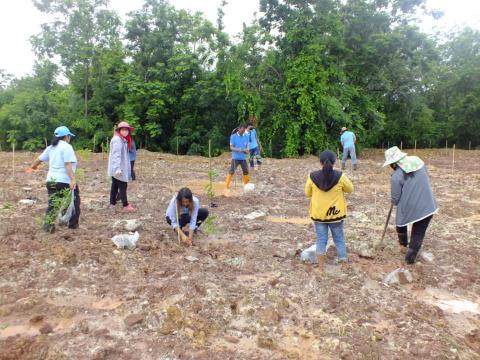 โครงการปลูกป่าเฉลิมพระเกียรติสมเด็จพระนางเจ้าสิริกิติ์ พระบรมราช