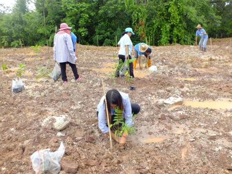 โครงการปลูกป่าเฉลิมพระเกียรติสมเด็จพระนางเจ้าสิริกิติ์ พระบรมราช