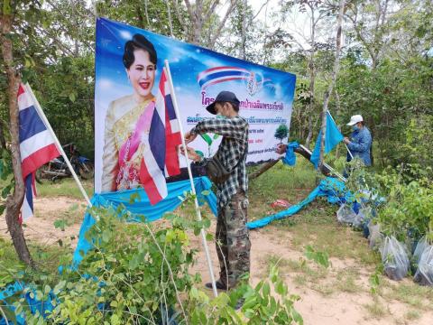 กองส่งเสริมการเกษตร เตรียมสถานที่ปลูกป่าเฉลิมพระเกียรติ สมเด็จพร