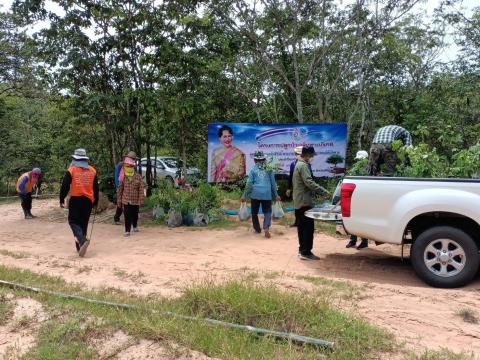 กองส่งเสริมการเกษตร เตรียมสถานที่ปลูกป่าเฉลิมพระเกียรติ สมเด็จพร