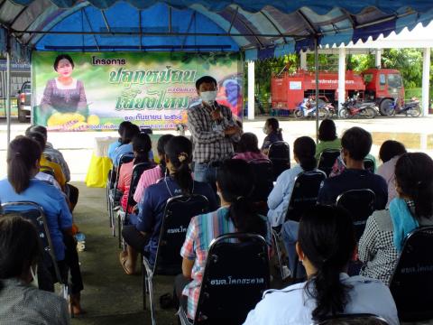 โครงการปลูกหม่อนเลี้ยงไหม ประจำปีงบประมาณ 2564