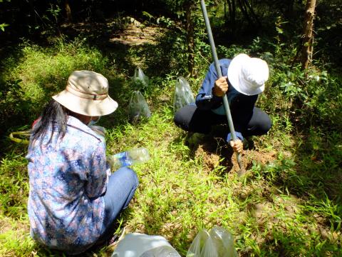 โครงการปลูกผักหวานป่า ประจำปีงบประมาณ 2565 วันพุธที่ 24 สิงหาคม 2565 ณ หอประชุมองค์การบริหารส่วนตำบลโคกสะอาด