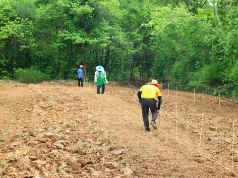 โครงการปลูกป่าเฉลิมพระเกียรติสมเด็จพระนางเจ้าสิริกิติ์ พระบรมราชินีนาถ พระบรมราชชนนีพันปีหลวง ประจำปีงบประมาณ 2568 วันศุกร์ที่ 6 เดือน มิถุนายน พ.ศ. 2568