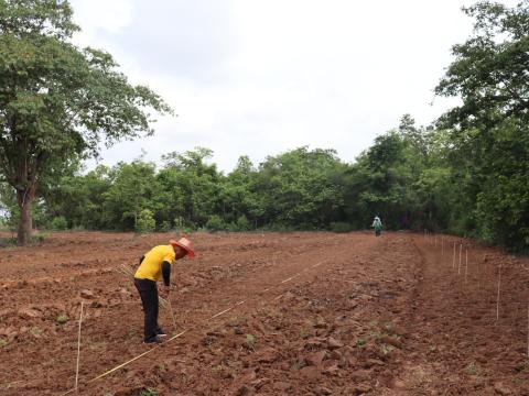 โครงการปลูกป่าเฉลิมพระเกียรติสมเด็จพระนางเจ้าสิริกิติ์ พระบรมราชินีนาถ พระบรมราชชนนีพันปีหลวง ประจำปีงบประมาณ 2568 วันศุกร์ที่ 6 เดือน มิถุนายน พ.ศ. 2568