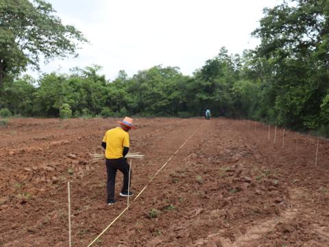 โครงการปลูกป่าเฉลิมพระเกียรติสมเด็จพระนางเจ้าสิริกิติ์ พระบรมราชินีนาถ พระบรมราชชนนีพันปีหลวง ประจำปีงบประมาณ 2568 วันศุกร์ที่ 6 เดือน มิถุนายน พ.ศ. 2568