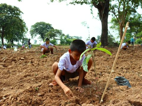 โครงการปลูกป่าเฉลิมพระเกียรติสมเด็จพระนางเจ้าสิริกิติ์ พระบรมราชินีนาถ พระบรมราชชนนีพันปีหลวง ประจำปีงบประมาณ 2568 วันศุกร์ที่ 6 เดือน มิถุนายน พ.ศ. 2568