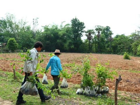 โครงการปลูกป่าเฉลิมพระเกียรติสมเด็จพระนางเจ้าสิริกิติ์ พระบรมราชินีนาถ พระบรมราชชนนีพันปีหลวง ประจำปีงบประมาณ 2568 วันศุกร์ที่ 6 เดือน มิถุนายน พ.ศ. 2568