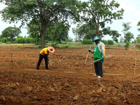 โครงการปลูกป่าเฉลิมพระเกียรติสมเด็จพระนางเจ้าสิริกิติ์ พระบรมราชินีนาถ พระบรมราชชนนีพันปีหลวง ประจำปีงบประมาณ 2568 วันศุกร์ที่ 6 เดือน มิถุนายน พ.ศ. 2568