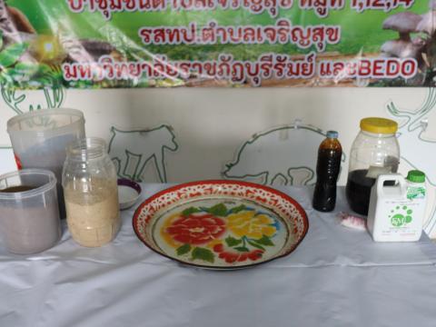 โครงการอบรมและศึกษาดูงานเพิ่มศักยภาพการดำเนินงานอันเนื่องมาจากพระราชดำริปรัชญาเศรษฐกิจพอเพียง ประจำปีงบประมาณ 2568 วันอังคารที่ 15 เดือน กรกฎาคม พ.ศ. 2568