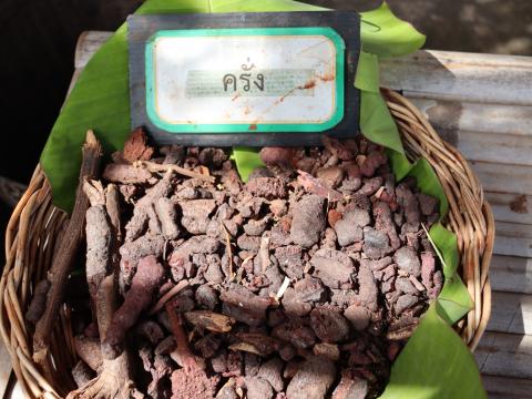 โครงการอบรมและศึกษาดูงานเพิ่มศักยภาพการดำเนินงานอันเนื่องมาจากพระราชดำริปรัชญาเศรษฐกิจพอเพียง ประจำปีงบประมาณ 2568 วันอังคารที่ 15 เดือน กรกฎาคม พ.ศ. 2568